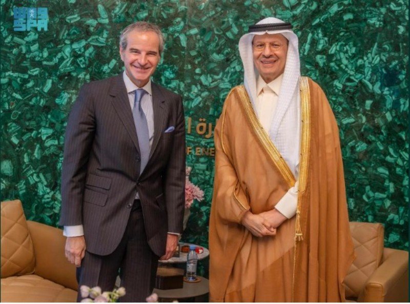 وزير الطاقة يلتقي مدير عام الوكالة الدولية للطاقة الذرية