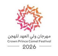غدًا.. انطلاق فئة “اللقايا” بمهرجان ولي العهد للهجن